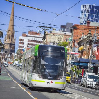 Fitzroy 15