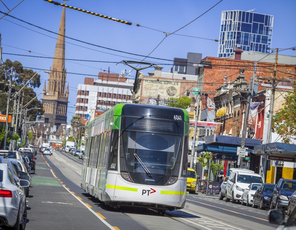 Fitzroy 15