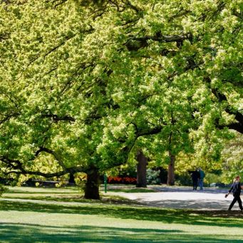 Malvern Central Park v2