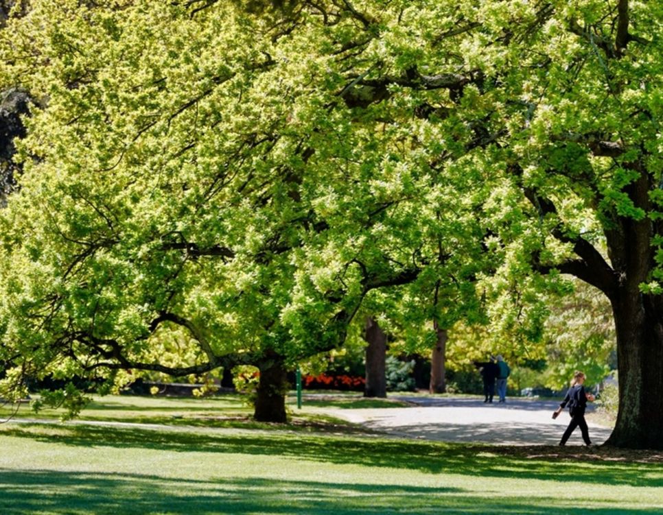 Malvern Central Park v2