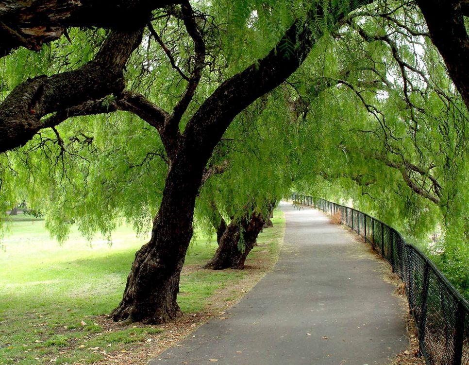 St Kilda East Alma Park 4