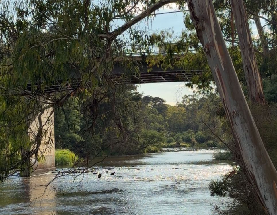 Warrandyte