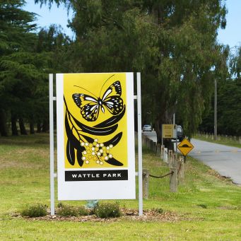 box hill sth wattle park2