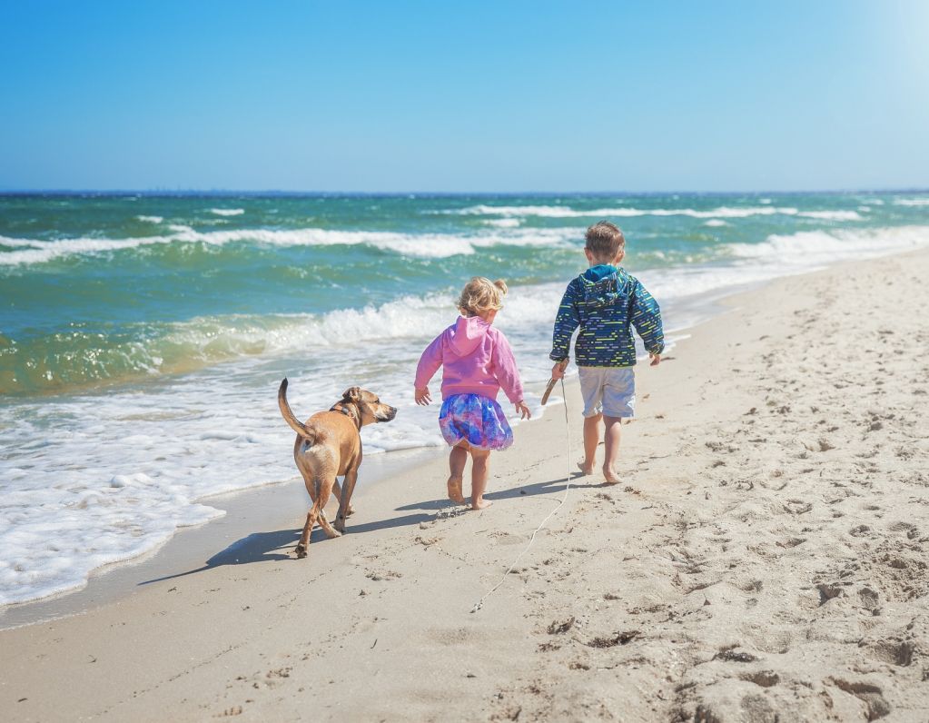 he Best Dog Friendly Parks and Beaches in Your Local Melbourne Suburb