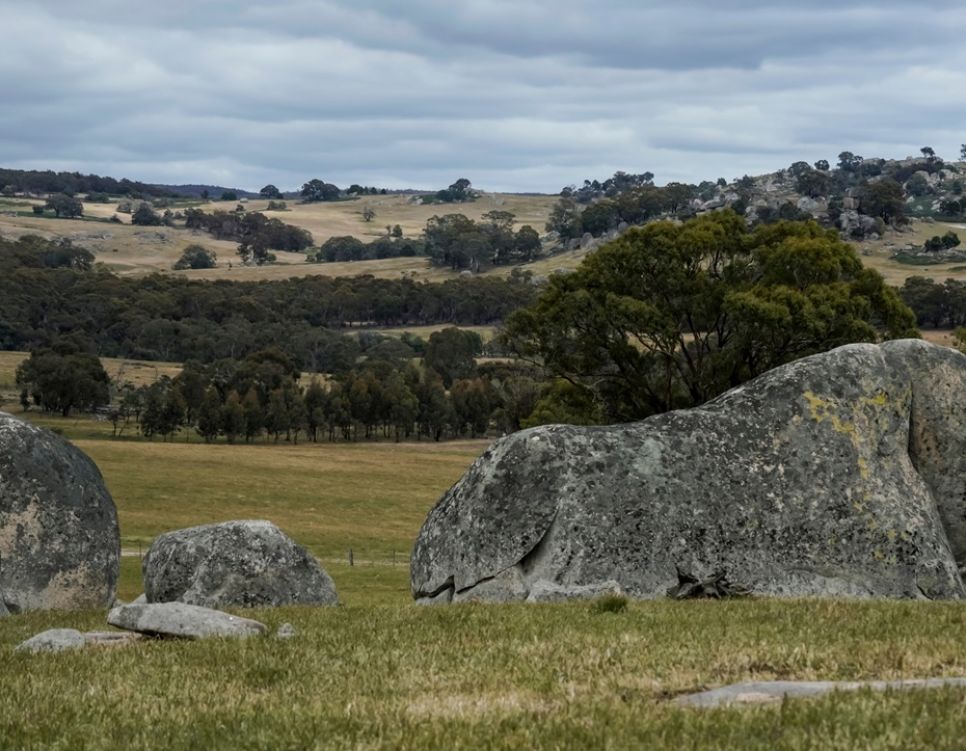 lancefield shutterstock 1567206232