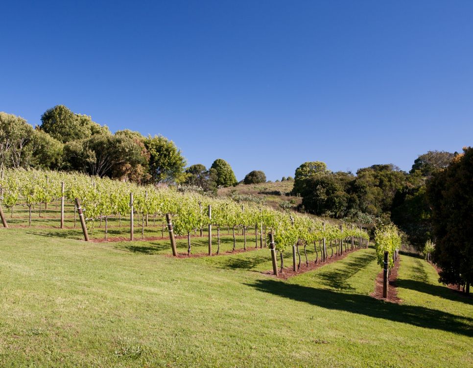 red hill 1