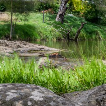 sunbury shutterstock 1419510152 v2