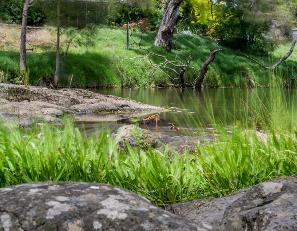 sunbury shutterstock 1419510152 v2