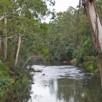 warrandyte