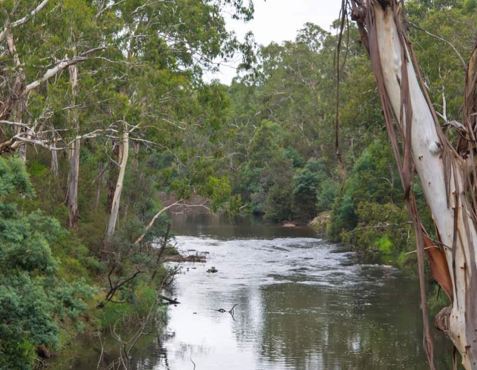 warrandyte