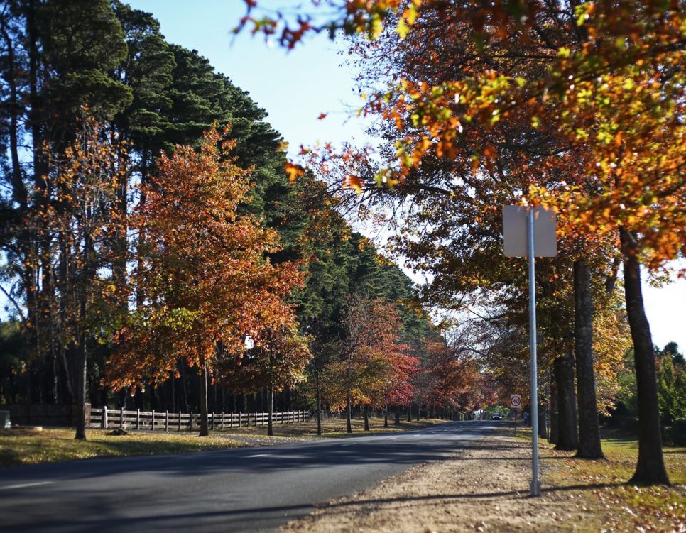 woodend shutterstock 2159485749