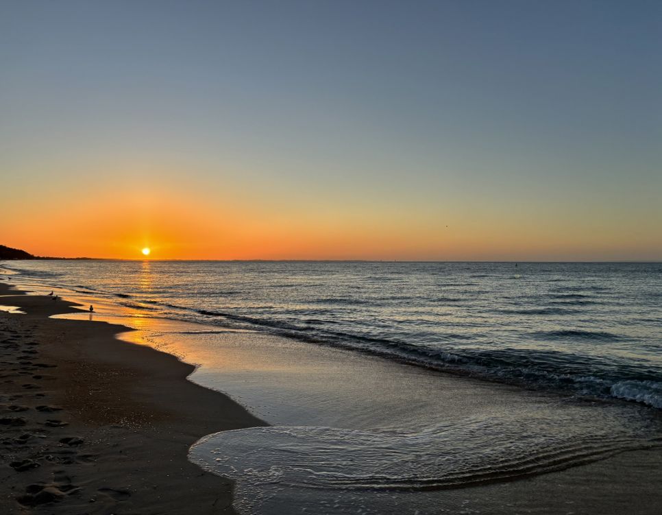 Dromana